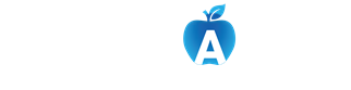 ERP - Blue Apple Group 